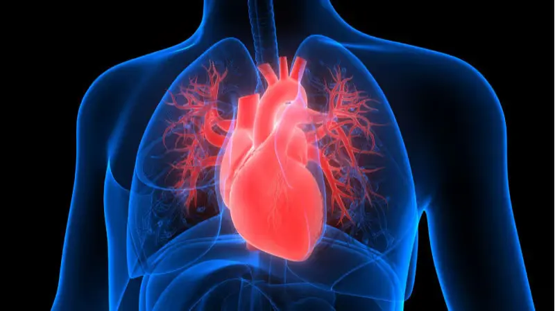 Heart Failure